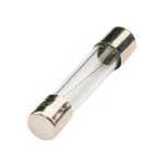 Fuse 6 x 32mm F100mA Quick Blow (10 Pieces)