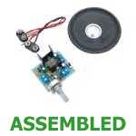 PRE-ASSEMBLED Introduction To Power Audio Amplifiers Module